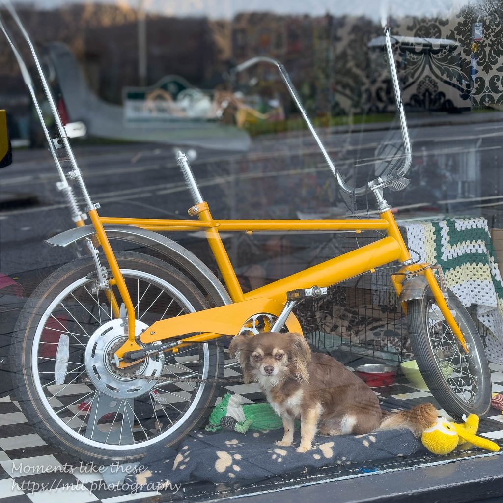 In a window