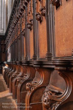 Miserichords - St Laurence Church - 3