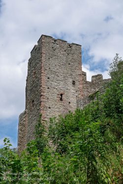 Ludlow Castle from outside and beneath